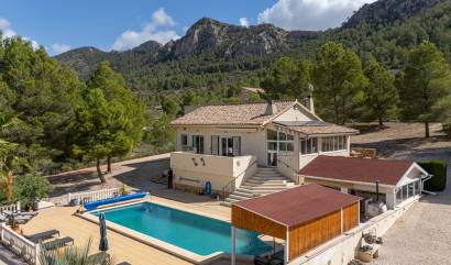Sale - Independent villa - La Zarza