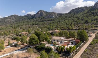 Sale - Independent villa - La Zarza