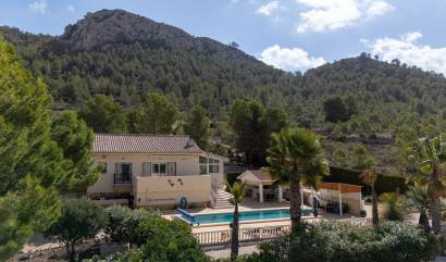 Sale - Independent villa - La Zarza