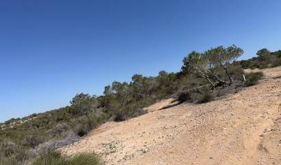 Sale - Land and Plots - San Fulgencio - La Marina