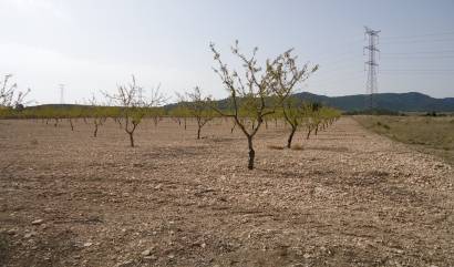 Sale - Land - Canada del Trigo