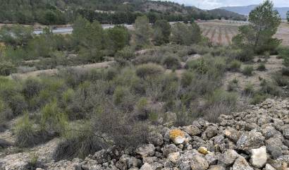 Sale - Land - Chinorlet