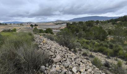 Sale - Land - Chinorlet