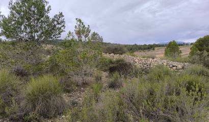 Sale - Land - Chinorlet