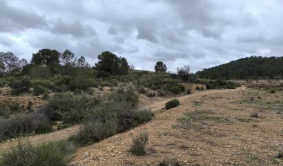 Sale - Land - Chinorlet