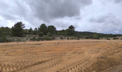 Sale - Land - Chinorlet