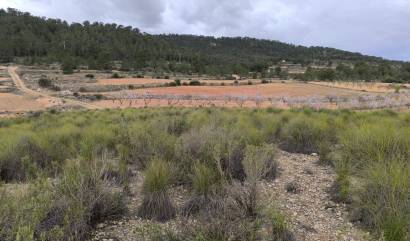 Sale - Land - Chinorlet