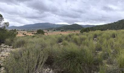 Sale - Land - Chinorlet