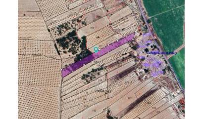 Sale - Land - Monovar