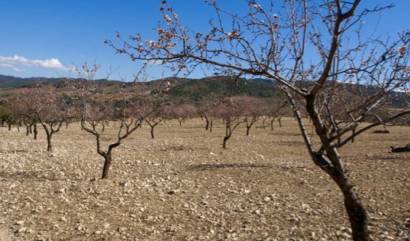 Sale - Land - Murcia