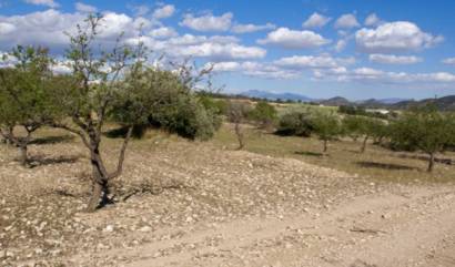 Sale - Land - Murcia