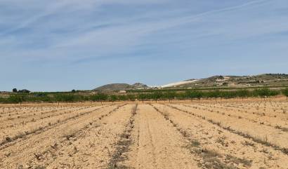 Sale - Land - Pinoso