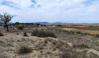 Sale - Land - Pinoso