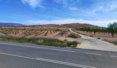 Sale - Land - Pinoso