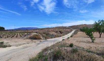 Sale - Land - Pinoso