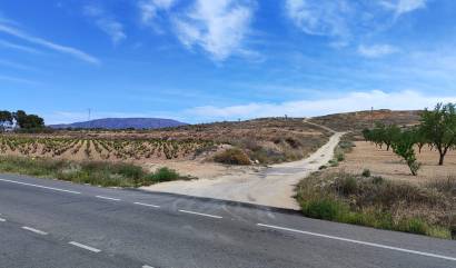 Sale - Land - Pinoso