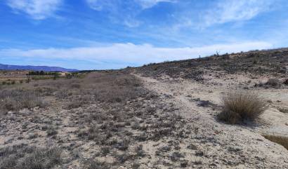 Sale - Land - Pinoso