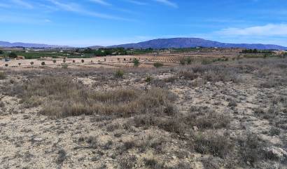 Sale - Land - Pinoso