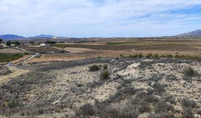 Sale - Land - Pinoso