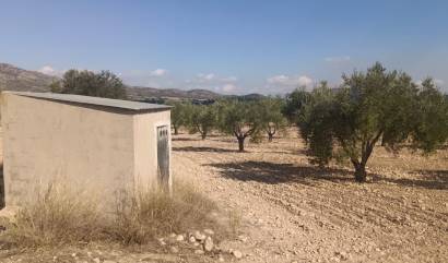 Sale - Land - Salinas