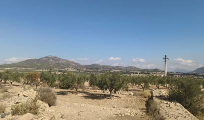 Sale - Land - Salinas