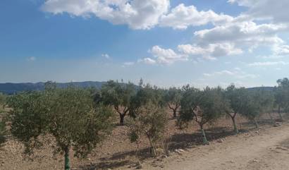 Sale - Land - Salinas