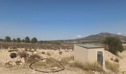 Sale - Land - Salinas