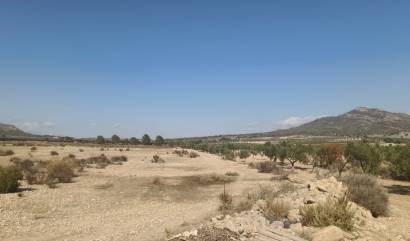 Sale - Land - Salinas