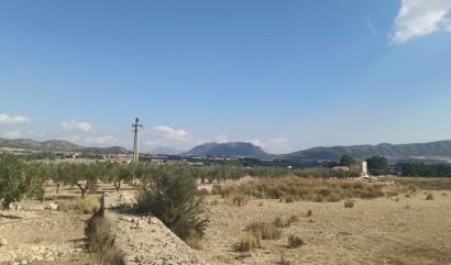 Sale - Land - Salinas