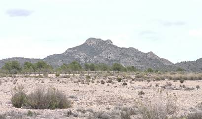 Sale - Land - Salinas