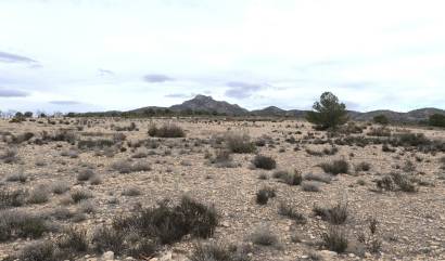 Sale - Land - Salinas