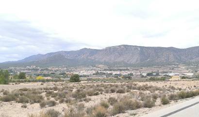 Sale - Land - Salinas