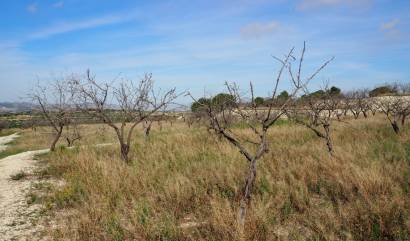 Sale - Land - San Miguel de Salinas - Torremendo