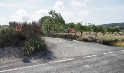 Sale - Land - San Miguel de Salinas - Torremendo