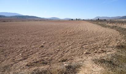 Sale - Land - Yecla