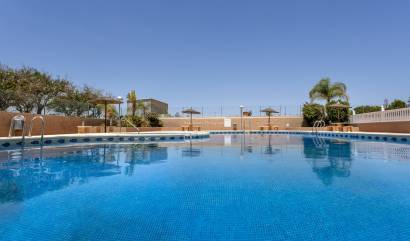 Sale - Semi Detached - Guardamar del Segura