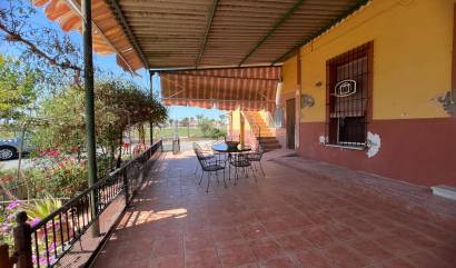 Sale - Townhouse - Daya Vieja