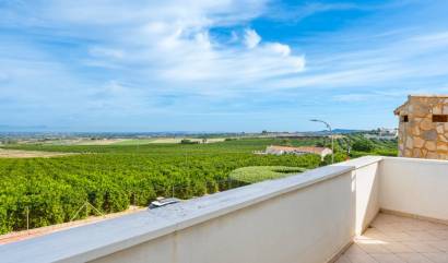 Sale - Villa - Algorfa - Castillo De Montemar