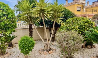 Sale - Villa - Algorfa - Lo Crispin