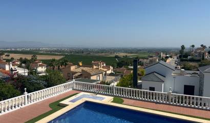 Sale - Villa - Algorfa - Lomas de Juliana