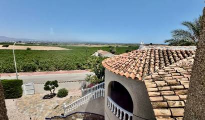 Sale - Villa - Algorfa - Lomas De La Juliana