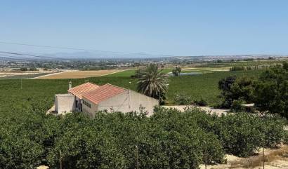 Sale - Villa - Algorfa - Lomas De La Juliana