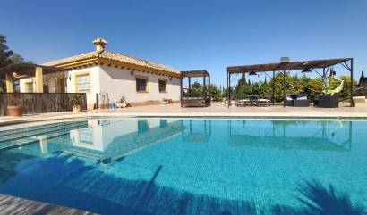 Sale - Villa - Avileses