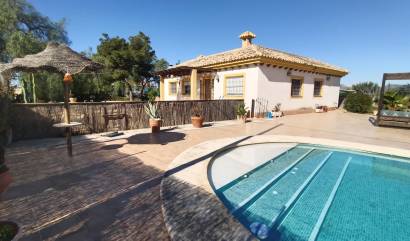 Sale - Villa - Avileses