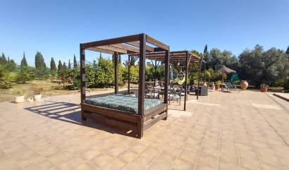 Sale - Villa - Avileses