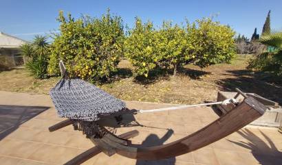 Sale - Villa - Avileses