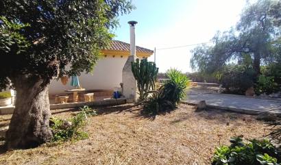 Sale - Villa - Avileses