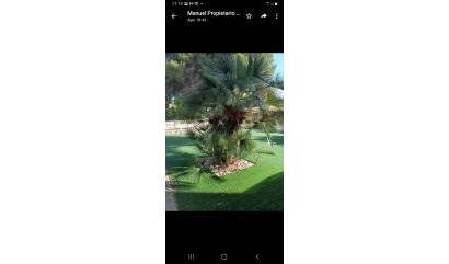 Sale - Villa - Campoamor