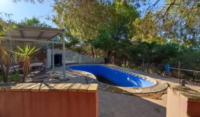 Sale - Villa - Canadas de San Pedro