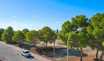 Sale - Villa - Ciudad Quesada